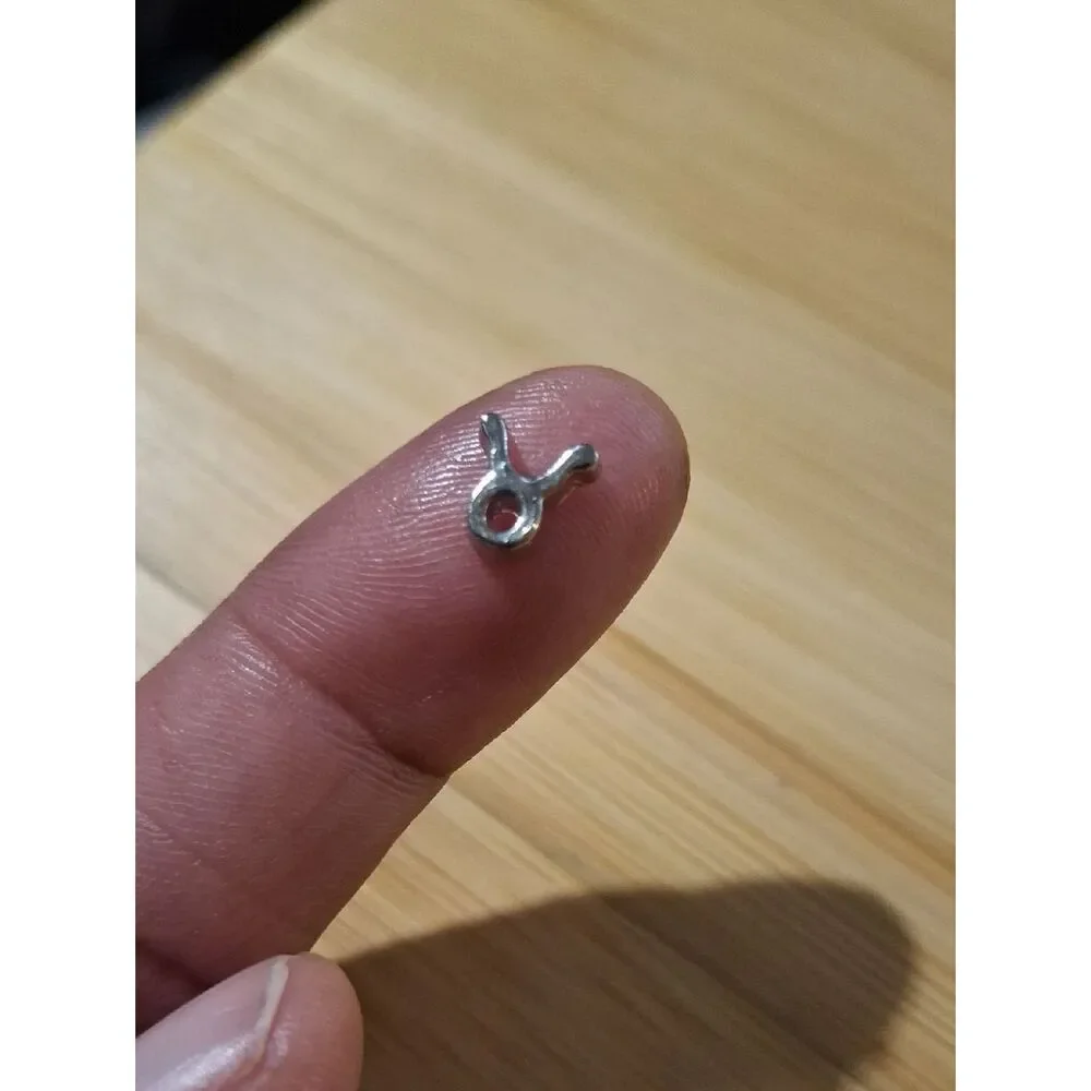 Taurus ♉️ Zodiac Charm For Floating Lockets